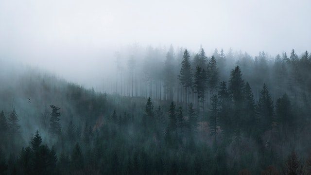 Благовіщення 2023: прикмети та традиції свята