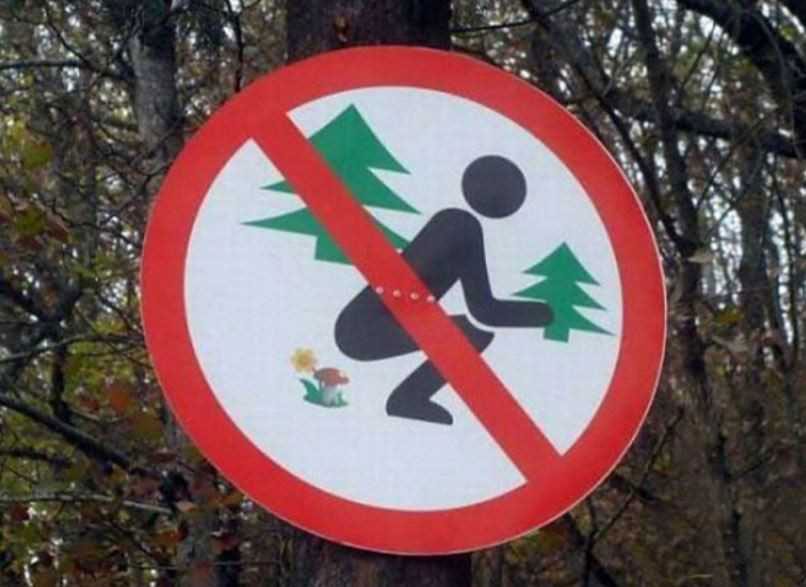 Смішні та незвичні дорожні знаки у світі: добірка кумедних фото