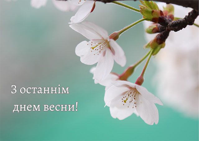 Красиві привітання в прозі та картинках з останнім днем весни 2023 року