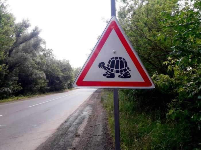 Смішні та незвичні дорожні знаки у світі: добірка кумедних фото