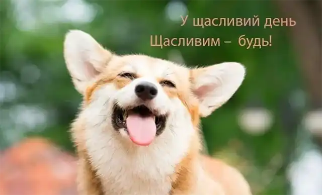День жіночого щастя 2023: красиві вітання та листівки для дам