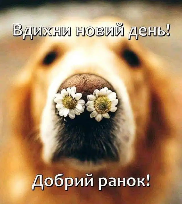 Побажання доброго осіннього ранку на листівках українською мовою