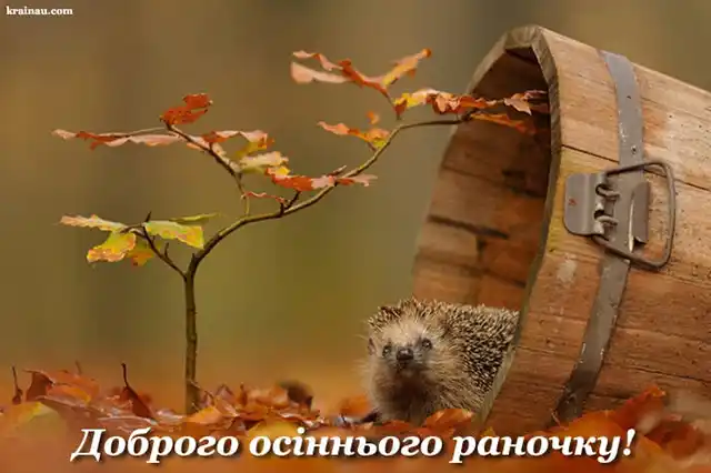 Побажання доброго осіннього ранку на листівках українською мовою