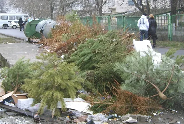 Коли можна прибрати ялинку після Нового Року: поради та прикмети Лайфхаки - Коли можна прибрати ялинку після Нового Року: поради та прикмети