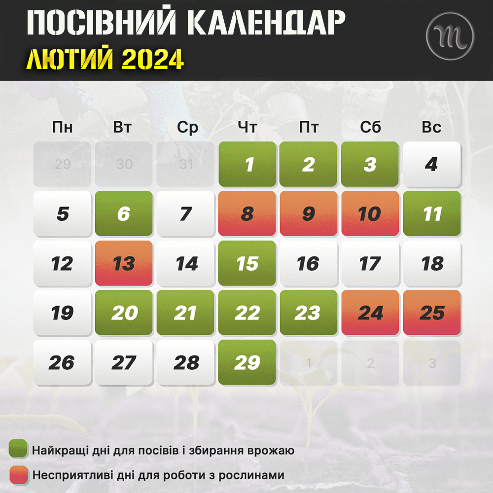 Сад і город - Коли сіяти розсаду і білити дерева у лютому 2024 року: місячний посівний календар дачника