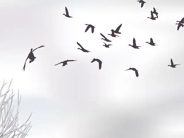 Свята - Яке свято відзначається завтра, 21 січня 2024 року? Які обряди пов'язані з цим днем у церковному календарі та основні заборони дня