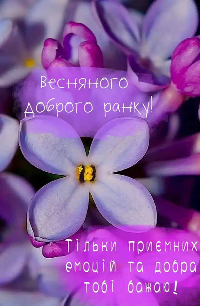 Добрий весняний ранок: щирі побажання доброго і мирного ранку у прозі, своїми словами, картинки і листівки українською Позитив - Добрий весняний ранок: щирі побажання доброго і мирного ранку у прозі, своїми словами, картинки і листівки українською