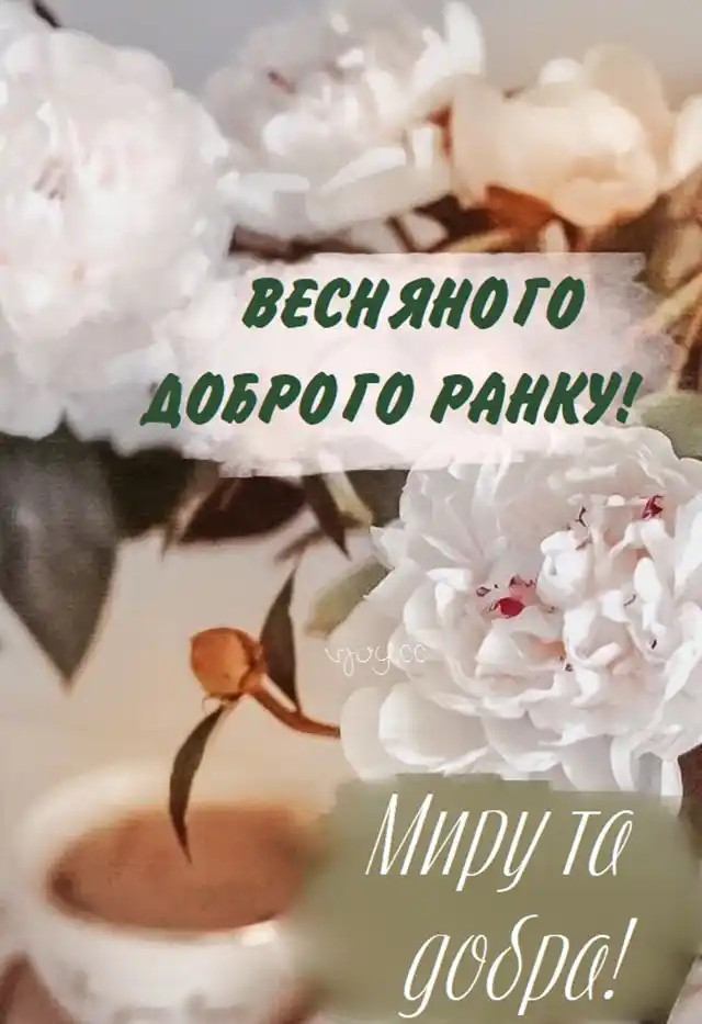 Добрий весняний ранок: щирі побажання доброго і мирного ранку у прозі, своїми словами, картинки і листівки українською Позитив - Добрий весняний ранок: щирі побажання доброго і мирного ранку у прозі, своїми словами, картинки і листівки українською