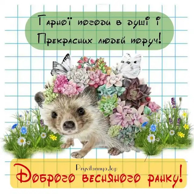 Добрий весняний ранок: щирі побажання доброго і мирного ранку у прозі, своїми словами, картинки і листівки українською Позитив - Добрий весняний ранок: щирі побажання доброго і мирного ранку у прозі, своїми словами, картинки і листівки українською