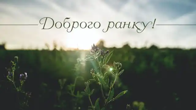 Добрий весняний ранок: щирі побажання доброго і мирного ранку у прозі, своїми словами, картинки і листівки українською Позитив - Добрий весняний ранок: щирі побажання доброго і мирного ранку у прозі, своїми словами, картинки і листівки українською