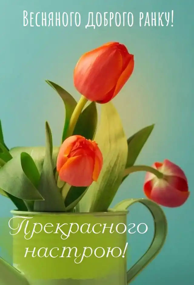 Добрий весняний ранок: щирі побажання доброго і мирного ранку у прозі, своїми словами, картинки і листівки українською Позитив - Добрий весняний ранок: щирі побажання доброго і мирного ранку у прозі, своїми словами, картинки і листівки українською