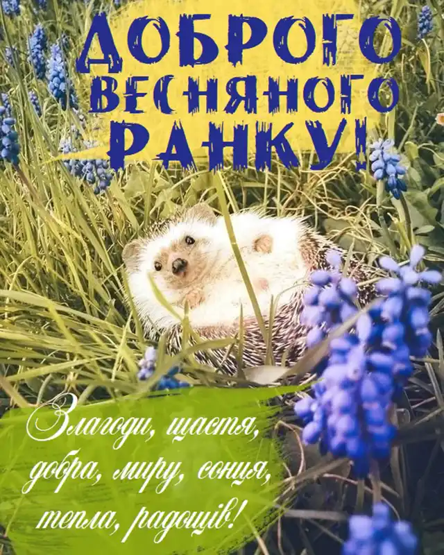 Добрий весняний ранок: щирі побажання доброго і мирного ранку у прозі, своїми словами, картинки і листівки українською Позитив - Добрий весняний ранок: щирі побажання доброго і мирного ранку у прозі, своїми словами, картинки і листівки українською