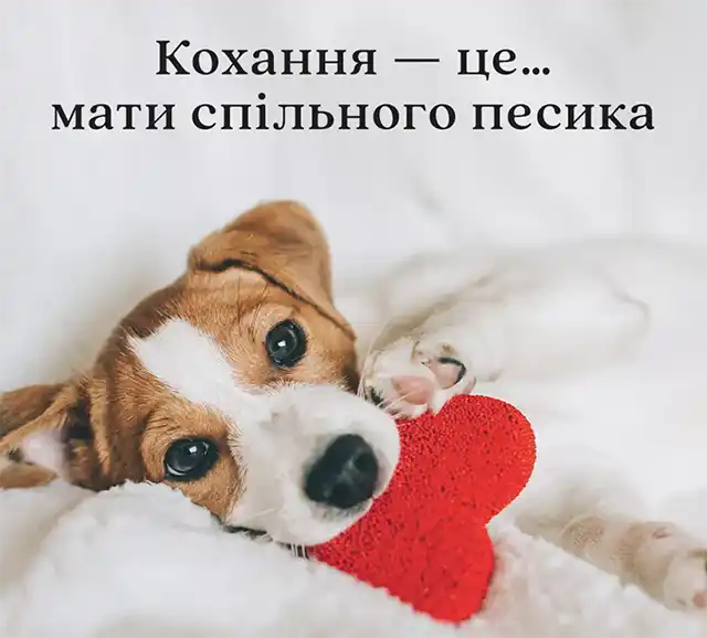 Свята - З Днем всіх закоханих 2024: Найкращі привітання, картинки, листівки та валентинки українською для коханої людини на День Святого Валентина