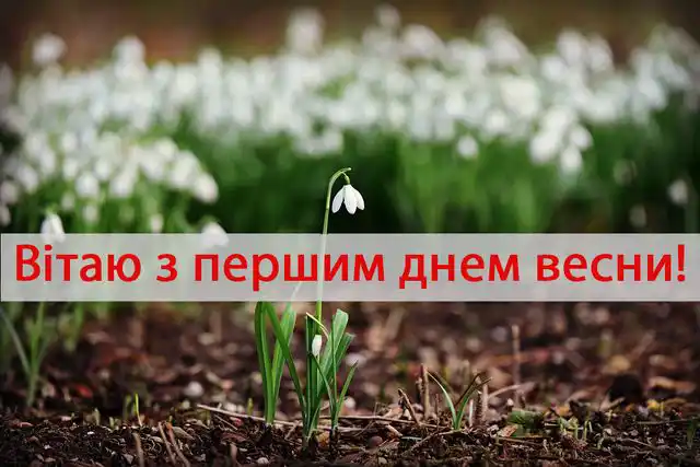 З першим днем весни 1 березня: картинки, привітання в прозі та віршах українською мовою Позитив - З першим днем весни 1 березня: картинки, привітання в прозі та віршах українською мовою