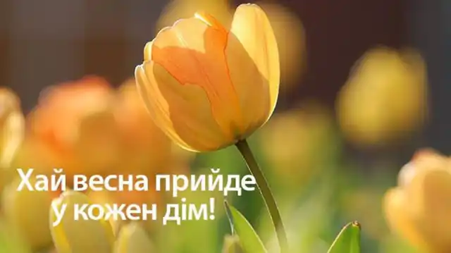 З першим днем весни 1 березня: картинки, привітання в прозі та віршах українською мовою Позитив - З першим днем весни 1 березня: картинки, привітання в прозі та віршах українською мовою