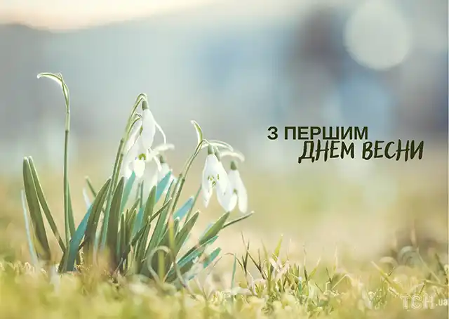 З першим днем весни 1 березня: картинки, привітання в прозі та віршах українською мовою Позитив - З першим днем весни 1 березня: картинки, привітання в прозі та віршах українською мовою