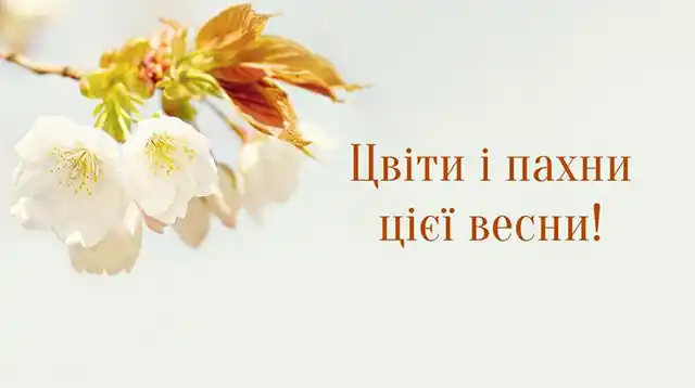 З першим днем весни 1 березня: картинки, привітання в прозі та віршах українською мовою Позитив - З першим днем весни 1 березня: картинки, привітання в прозі та віршах українською мовою