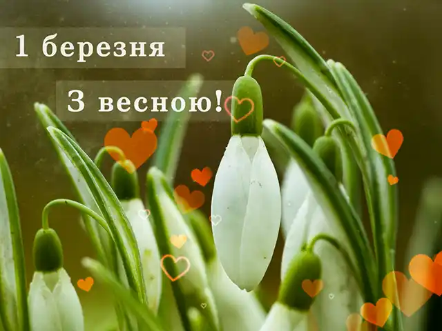 З першим днем весни 1 березня: картинки, привітання в прозі та віршах українською мовою Позитив - З першим днем весни 1 березня: картинки, привітання в прозі та віршах українською мовою