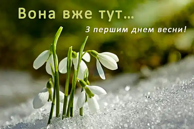 З першим днем весни 1 березня: картинки, привітання в прозі та віршах українською мовою Позитив - З першим днем весни 1 березня: картинки, привітання в прозі та віршах українською мовою