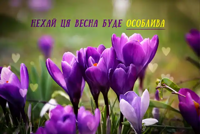 З першим днем весни 1 березня: картинки, привітання в прозі та віршах українською мовою Позитив - З першим днем весни 1 березня: картинки, привітання в прозі та віршах українською мовою