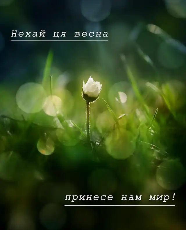 З першим днем весни 1 березня: картинки, привітання в прозі та віршах українською мовою Позитив - З першим днем весни 1 березня: картинки, привітання в прозі та віршах українською мовою