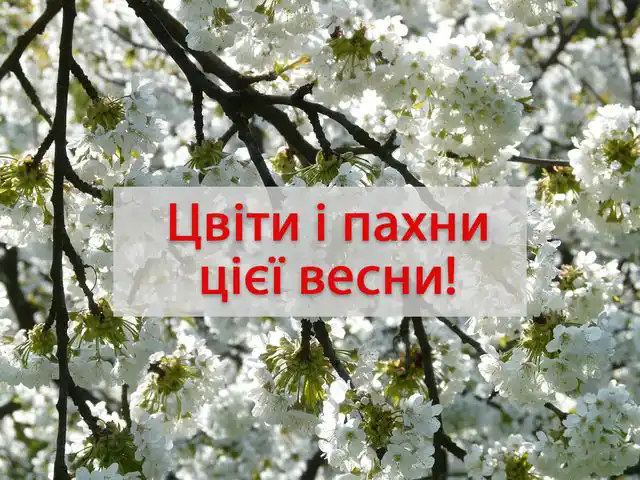 З першим днем весни 1 березня: картинки, привітання в прозі та віршах українською мовою Позитив - З першим днем весни 1 березня: картинки, привітання в прозі та віршах українською мовою