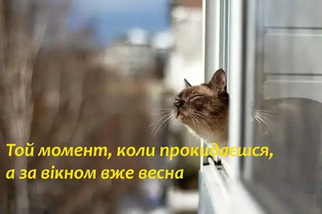 З першим днем весни 1 березня: картинки, привітання в прозі та віршах українською мовою Позитив - З першим днем весни 1 березня: картинки, привітання в прозі та віршах українською мовою