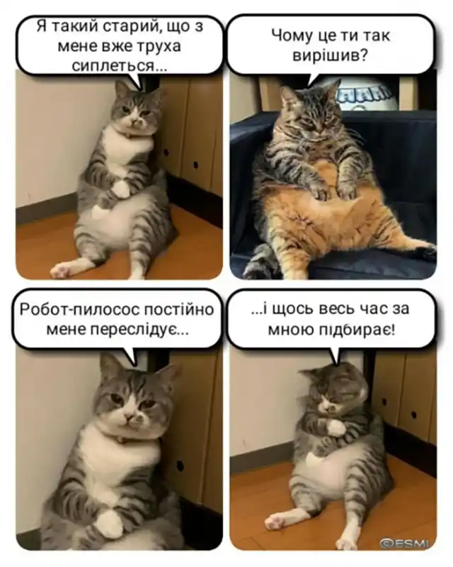 2 БЕРЕЗНЯ 2024 РОКУ МІЖНАРОДНИЙ ДЕНЬ ПОРЯТУНКУ КОТІВ: ПУБЛІКУЄМО МИЛІ КАРТИНКИ ТА ВІДЕО ПУХНАСТИКІВ Позитив - 2 БЕРЕЗНЯ 2024 РОКУ МІЖНАРОДНИЙ ДЕНЬ ПОРЯТУНКУ КОТІВ: ПУБЛІКУЄМО МИЛІ КАРТИНКИ ТА ВІДЕО ПУХНАСТИКІВ
