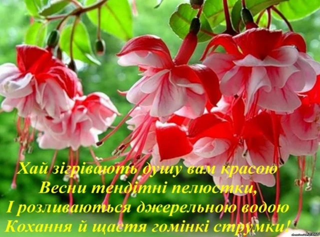 8 березня - Щирі привітання з 8 Березня матусі у прозі, віршах, красиві картинки та листівки українською мовою