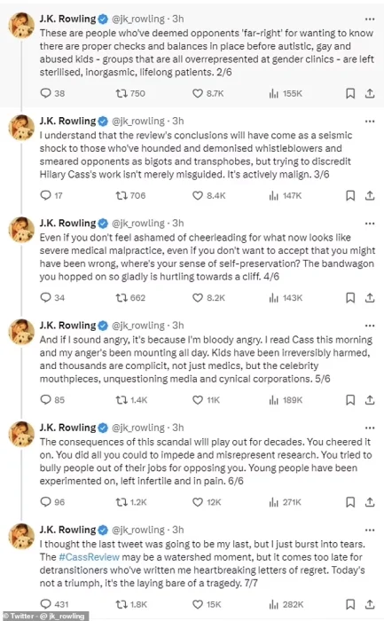 Джоан Роулінг посварилася з зірками Гаррі Поттера Деніелом Редкліффом і Еммою Вотсон на фоні трансгендерності – Modista - Жіночий журнал Без категорії - Джоан Роулінг посварилася з зірками Гаррі Поттера Деніелом Редкліффом і Еммою Вотсон на фоні трансгендерності