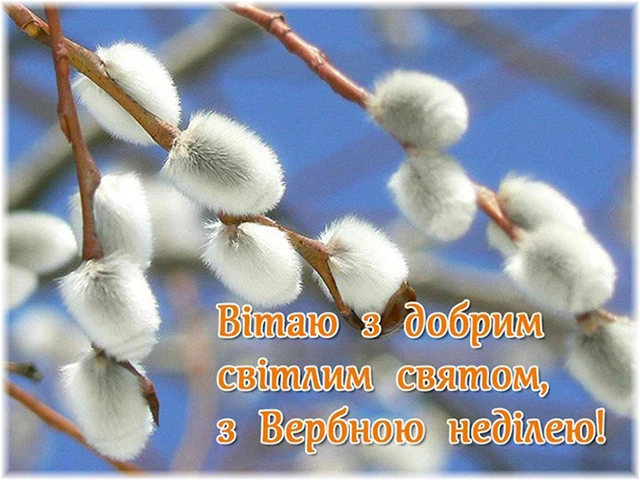 Щирі вітання, листівки та картинки з Вербною неділею 2024! Нехай у цей день ваші серця наповняться миром, радістю та вірою – Modista - Жіночий журнал Без категорії - Щирі вітання, листівки та картинки з Вербною неділею 2024! Нехай у цей день ваші серця наповняться миром, радістю та вірою