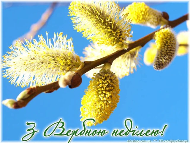 Щирі вітання, листівки та картинки з Вербною неділею 2024! Нехай у цей день ваші серця наповняться миром, радістю та вірою – Modista - Жіночий журнал Без категорії - Щирі вітання, листівки та картинки з Вербною неділею 2024! Нехай у цей день ваші серця наповняться миром, радістю та вірою