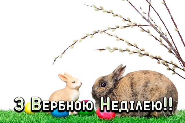 Щирі вітання, листівки та картинки з Вербною неділею 2024! Нехай у цей день ваші серця наповняться миром, радістю та вірою – Modista - Жіночий журнал Без категорії - Щирі вітання, листівки та картинки з Вербною неділею 2024! Нехай у цей день ваші серця наповняться миром, радістю та вірою