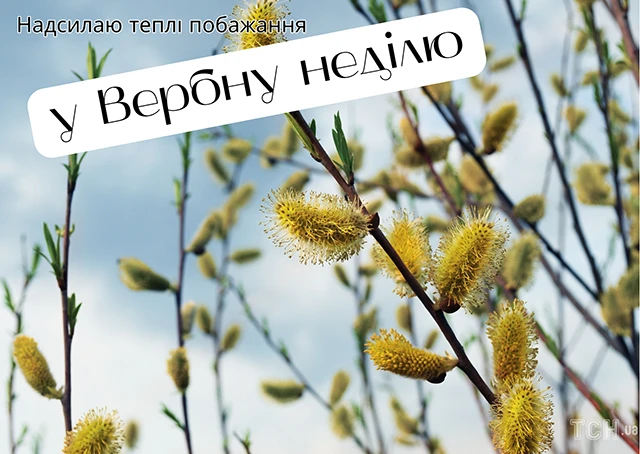 Щирі вітання, листівки та картинки з Вербною неділею 2024! Нехай у цей день ваші серця наповняться миром, радістю та вірою – Modista - Жіночий журнал Без категорії - Щирі вітання, листівки та картинки з Вербною неділею 2024! Нехай у цей день ваші серця наповняться миром, радістю та вірою