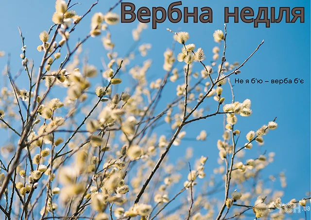 Щирі вітання, листівки та картинки з Вербною неділею 2024! Нехай у цей день ваші серця наповняться миром, радістю та вірою – Modista - Жіночий журнал Без категорії - Щирі вітання, листівки та картинки з Вербною неділею 2024! Нехай у цей день ваші серця наповняться миром, радістю та вірою