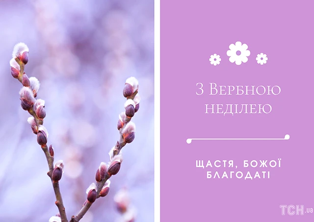 Щирі вітання, листівки та картинки з Вербною неділею 2024! Нехай у цей день ваші серця наповняться миром, радістю та вірою – Modista - Жіночий журнал Без категорії - Щирі вітання, листівки та картинки з Вербною неділею 2024! Нехай у цей день ваші серця наповняться миром, радістю та вірою