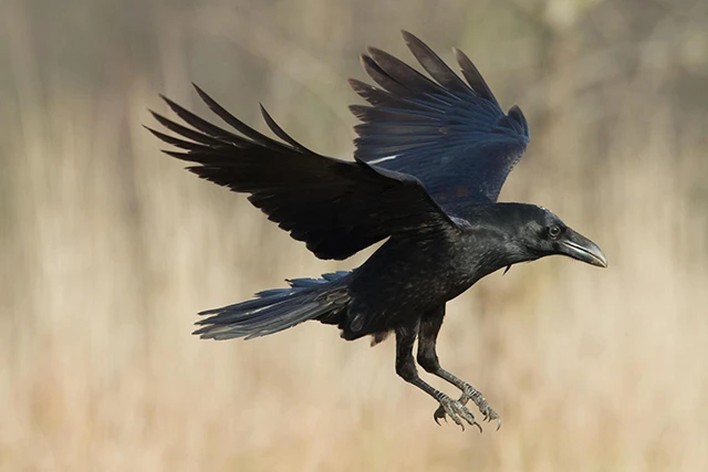 Без категорії - Яке свято завтра, 14 квітня 2024 року? Які обряди пов'язані з цим днем у церковному календарі та основні заборони дня