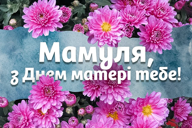 День матері 2024 в Україні: щирі привітання, зворушливі картинки та листівки для найдорожчої людини – Modista - Жіночий журнал Свята - День матері 2024 в Україні: щирі привітання, зворушливі картинки та листівки для найдорожчої людини