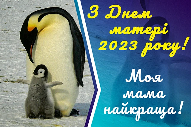 День матері 2024 в Україні: щирі привітання, зворушливі картинки та листівки для найдорожчої людини – Modista - Жіночий журнал Свята - День матері 2024 в Україні: щирі привітання, зворушливі картинки та листівки для найдорожчої людини