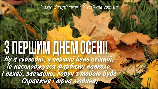 Чарівність першого дня осені 2024: Теплі привітання та яскраві картинки, листівки українською – Modista - Жіночий журнал Без категорії - Чарівність першого дня осені 2024: Теплі привітання та яскраві картинки, листівки українською