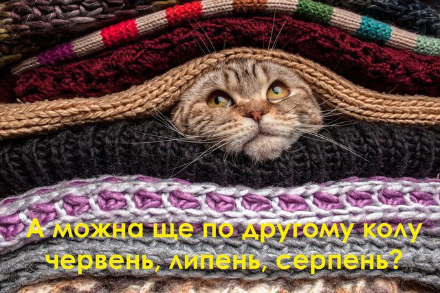 Чарівність першого дня осені 2024: Теплі привітання та яскраві картинки, листівки українською – Modista - Жіночий журнал Без категорії - Чарівність першого дня осені 2024: Теплі привітання та яскраві картинки, листівки українською