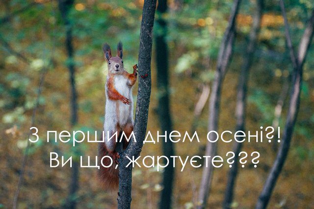 Чарівність першого дня осені 2024: Теплі привітання та яскраві картинки, листівки українською – Modista - Жіночий журнал Без категорії - Чарівність першого дня осені 2024: Теплі привітання та яскраві картинки, листівки українською
