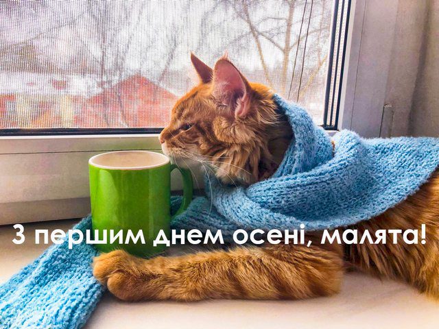 Чарівність першого дня осені 2024: Теплі привітання та яскраві картинки, листівки українською – Modista - Жіночий журнал Без категорії - Чарівність першого дня осені 2024: Теплі привітання та яскраві картинки, листівки українською