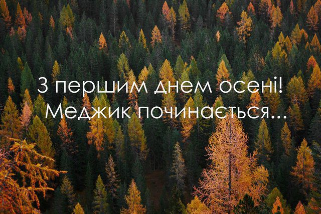 Чарівність першого дня осені 2024: Теплі привітання та яскраві картинки, листівки українською – Modista - Жіночий журнал Без категорії - Чарівність першого дня осені 2024: Теплі привітання та яскраві картинки, листівки українською