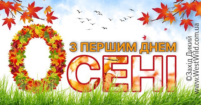 Чарівність першого дня осені 2024: Теплі привітання та яскраві картинки, листівки українською – Modista - Жіночий журнал Без категорії - Чарівність першого дня осені 2024: Теплі привітання та яскраві картинки, листівки українською