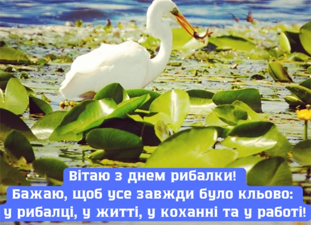 З Днем рибалки 2024: щиро вітаємо любителів "тихого полювання" – Modista - Жіночий журнал Без категорії - З Днем рибалки 2024: щиро вітаємо любителів "тихого полювання"
