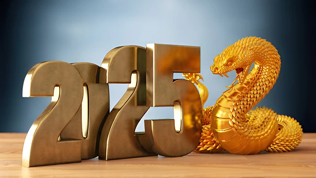 Зустрічаємо Новий рік 2025: основні кольори, символічна тварина року, в якому вбранні зустрічати – Modista - Жіночий журнал Свята - Зустрічаємо Новий рік 2025: основні кольори, символічна тварина року, в якому вбранні зустрічати