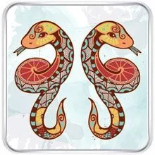 Gemini