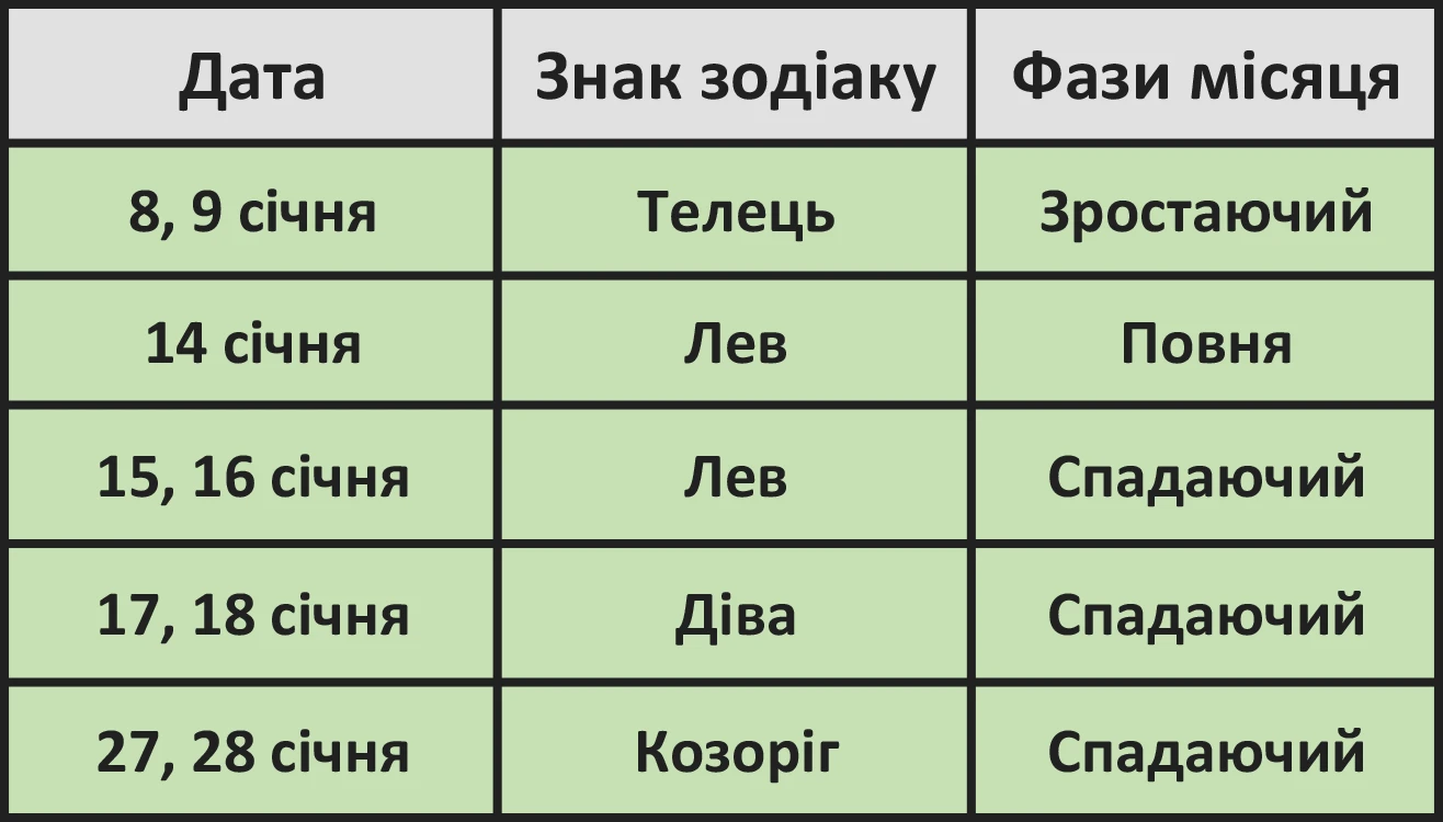 Без категорії - Місячний календар стрижок на січень 2025: коли найкраще оновлювати зачіску