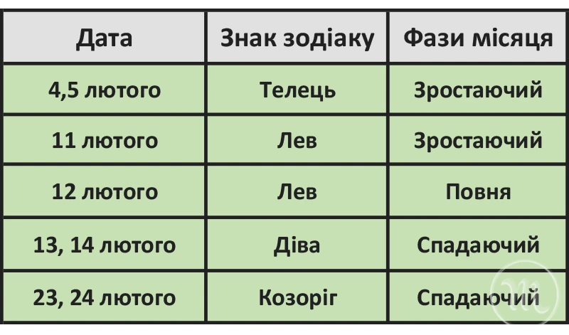Місячний календар стрижок на лютий 2025: обираємо вдалий день для нової зачіски – Modista - Жіночий журнал Без категорії - Місячний календар стрижок на лютий 2025: обираємо вдалий день для нової зачіски